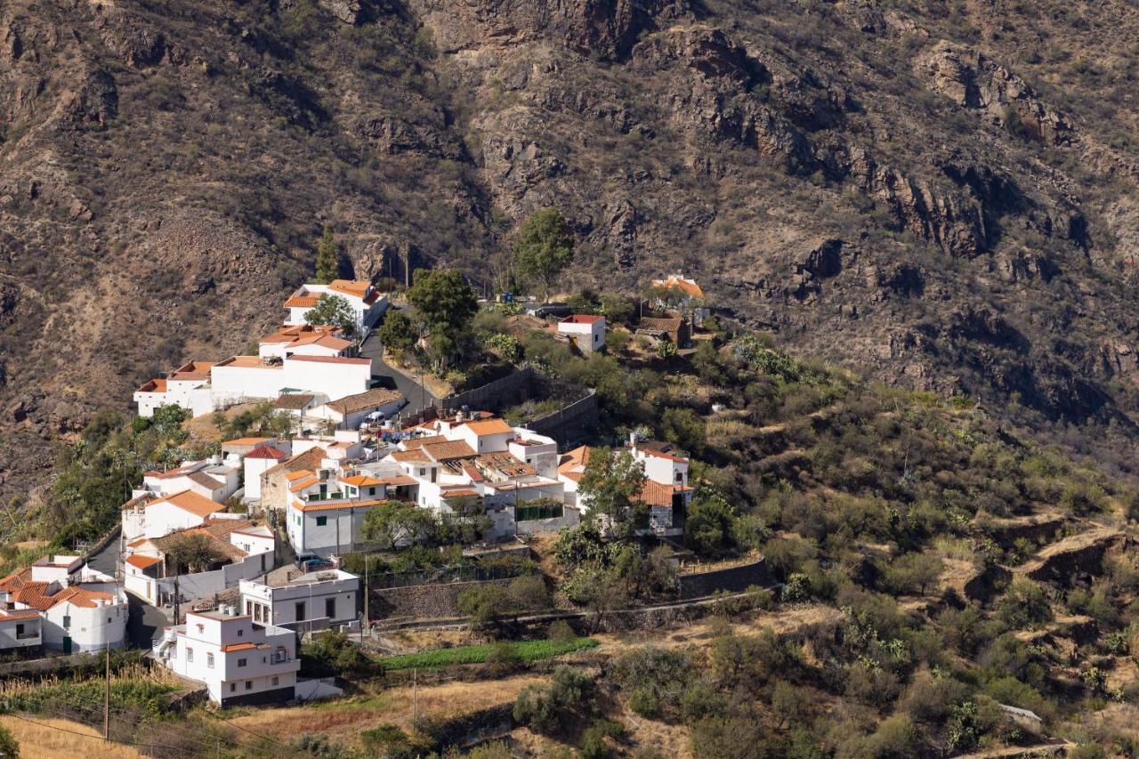 克鲁兹·德·特赫达Casa Maruca With Roque Nublo View别墅 外观 照片