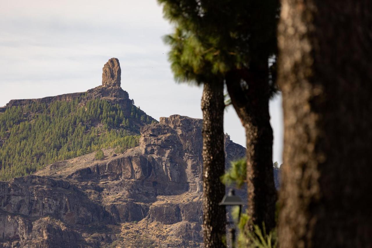克鲁兹·德·特赫达Casa Maruca With Roque Nublo View别墅 外观 照片